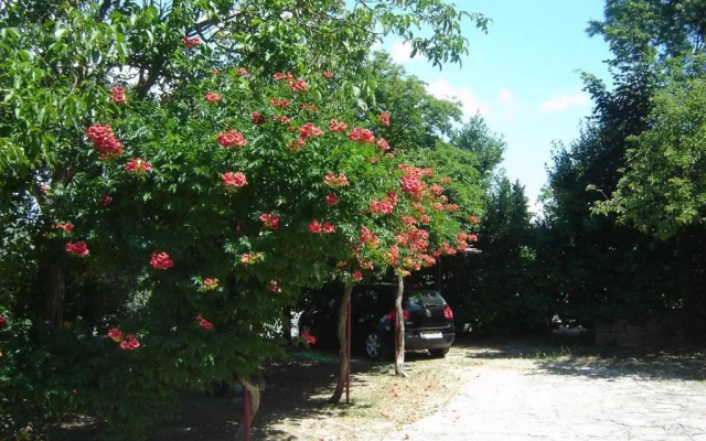 Apartments Grgorinić - Ground Floor