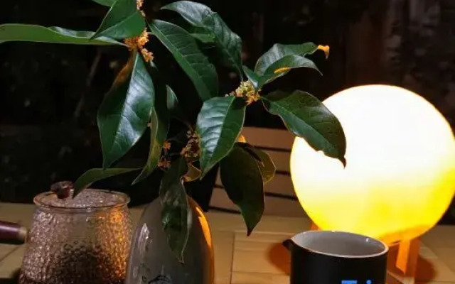 Xunyuanju Homestay
