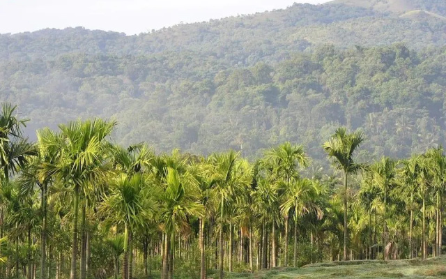 Kalindi River Resort
