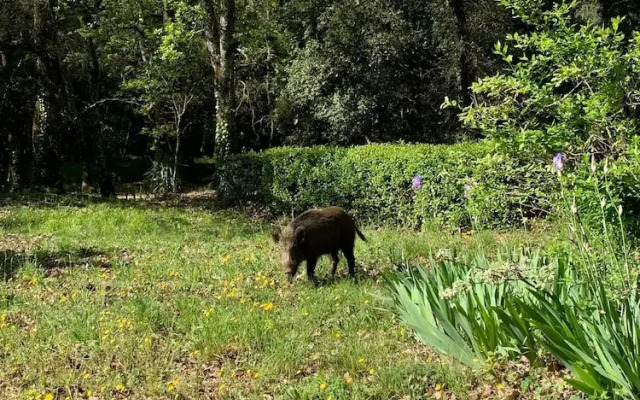 Ferme Saint-Georges en Provence