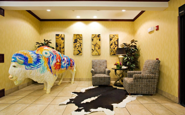 Holiday Inn Express &Suites Snyder by IHG