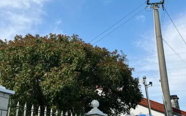 Shanghai Wuqi Xiaozhu Homestay