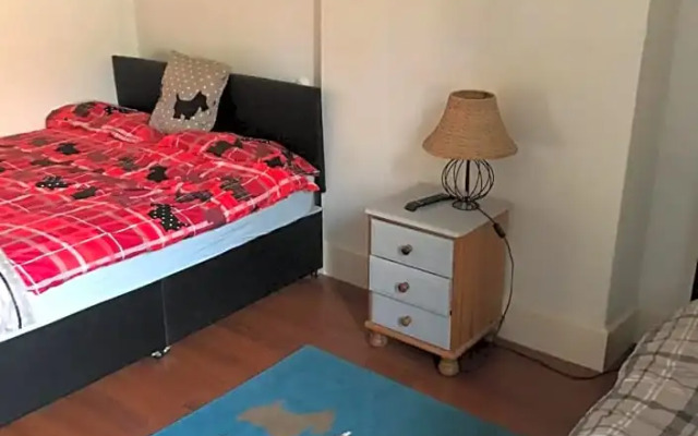 Scotty dog room 2
