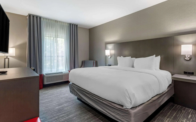 Comfort Inn & Suites Olive Branch Old Towne