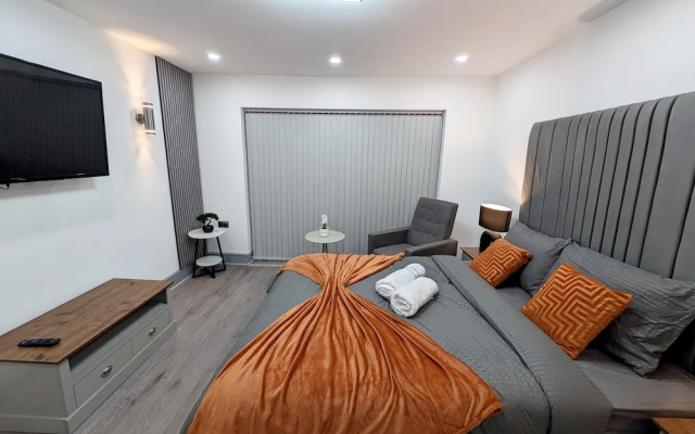 Spacious and Comfortable Modern Rooms