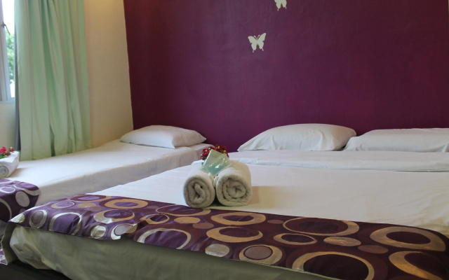 C Hotel
