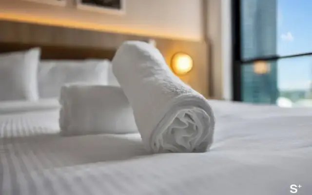 Stayplus Luxury Condo in Downtown Miami
