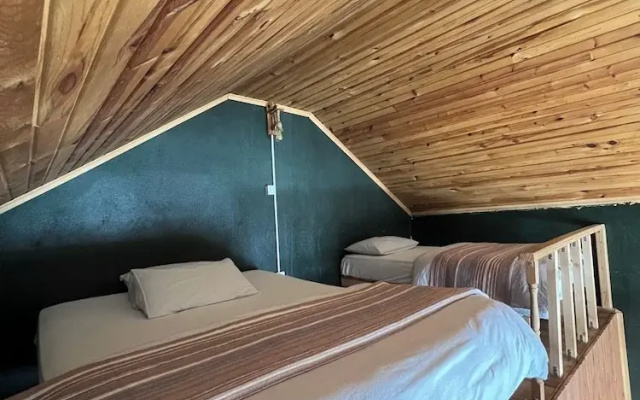Ny Çambaşı