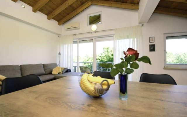 Apartment Anica