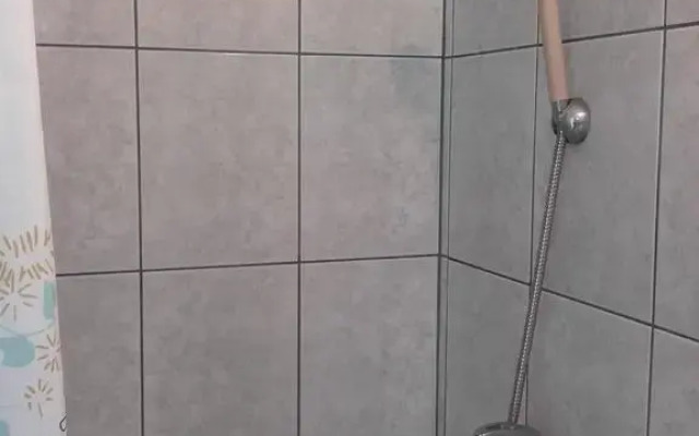Domino Panzi