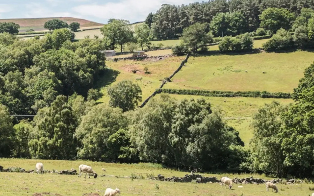 Dale View