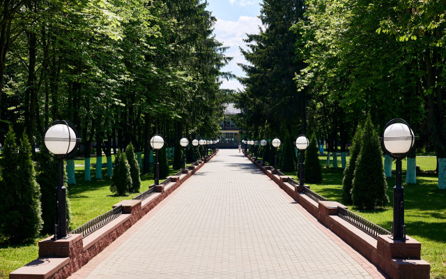 Случь