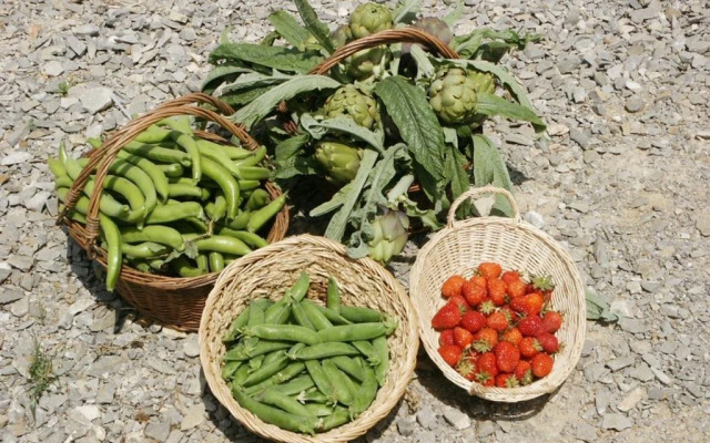 Tenuta Il Casone