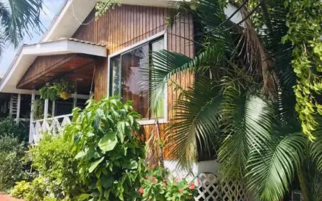 Acacias Tree Hostel