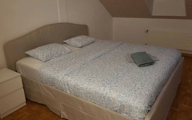 VK Zürich Airport Homestay Villa Bänikon