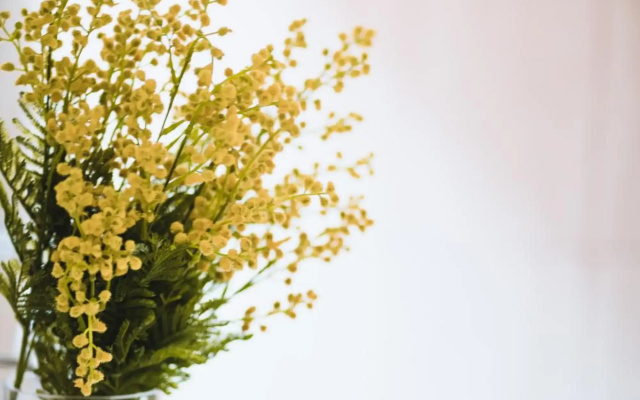 Wattle Terrace