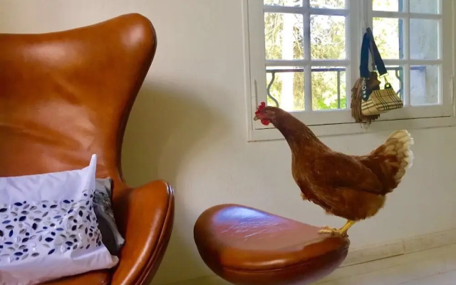 Château de Villarlong