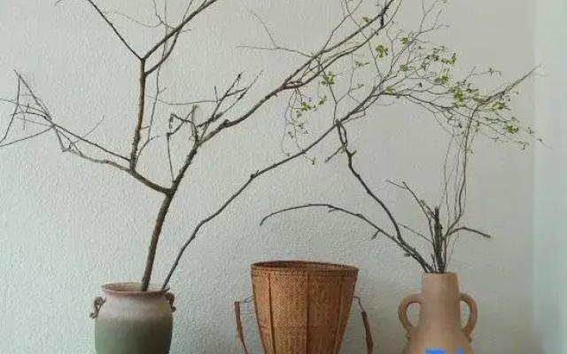LIBASU