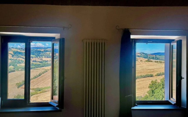 The View House