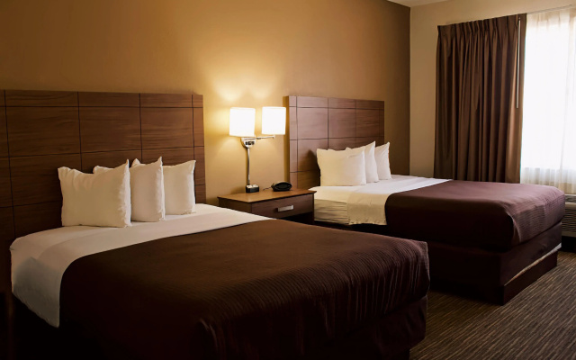 Comfort Suites University