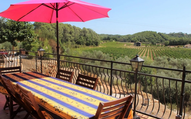 Villa in Provence With Pool and Vineyard Views