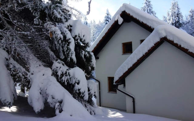 Sweet Stay Forest House