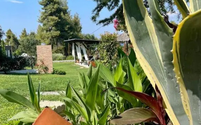 Eden apartment Paliouri with private backyard garden