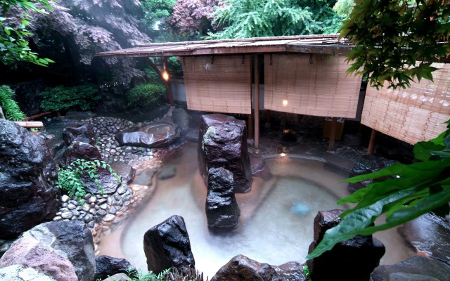 Yugawara Spa Ryokan Ashikari