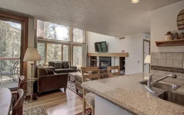 1633 Quicksilver Condo
