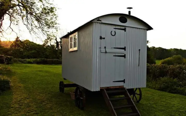 The Shepherds Return