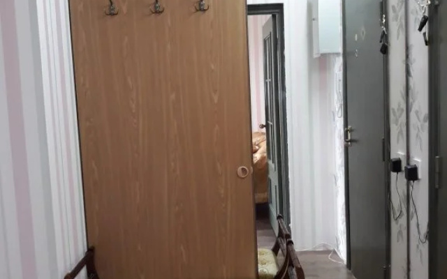 Kvartira U Nmits Im. Almazova Apartments