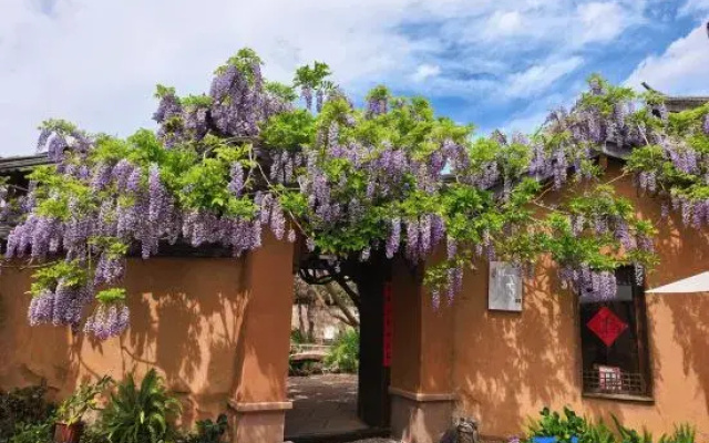 Dali Shaxi Wuqi Homestay