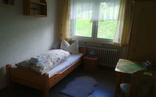 Berggasthof&Pension Zur Todtnauer Hütte