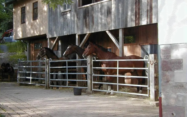 Ferienwohnung in den Dorfwiesen