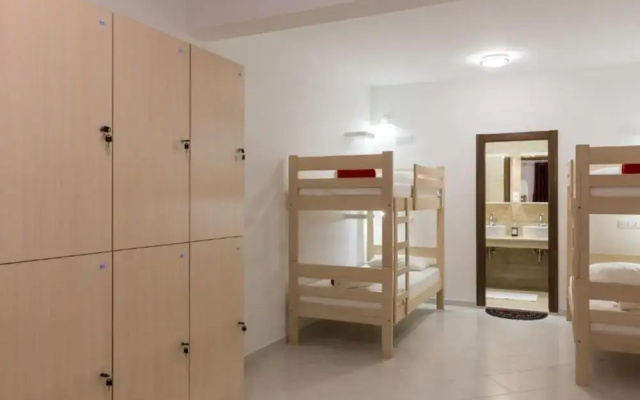 Hostel Free Bird
