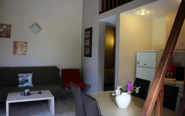 Vassia 3