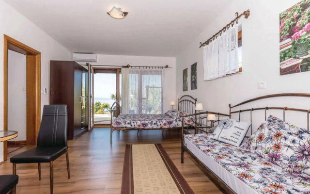 Apartment Anika