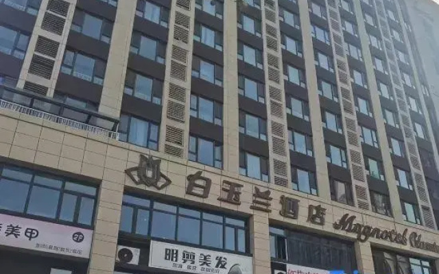 Tai'an Fuyue Homestay (Tai'an High-Speed Railway Station)