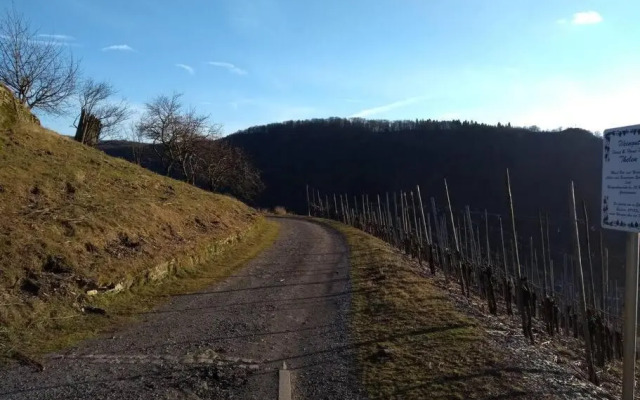 luxury holiday home in Cochem for 14 people