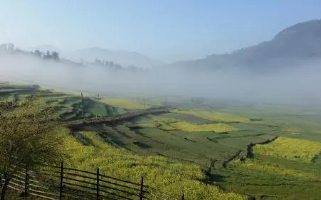 The Little House in the Rice Fields