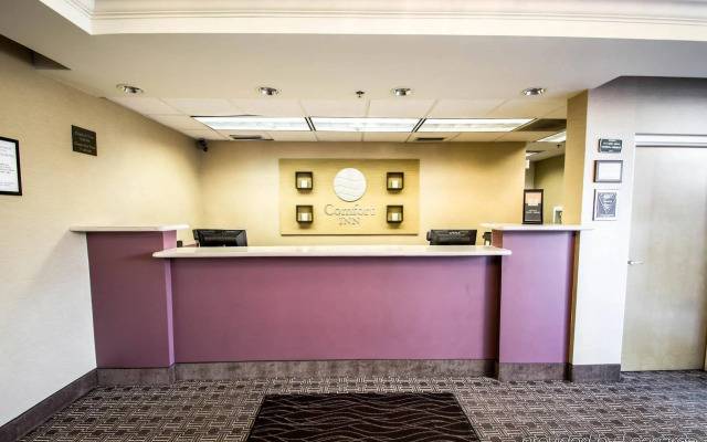 Comfort Inn & Suites DeLand - near University