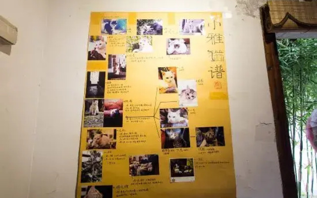 Xiaoya Youth Hostel