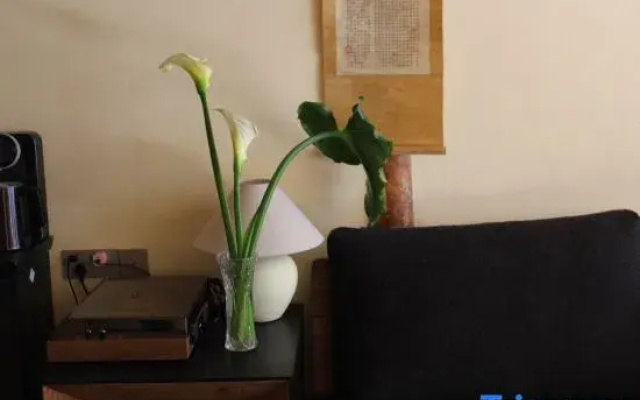 Mituosi 39hao Homestay