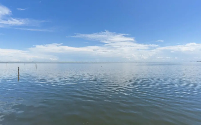 Beach Haven 2 Bedroom Condo