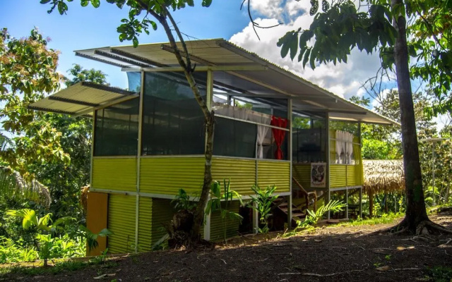Osa Jungle Hostel