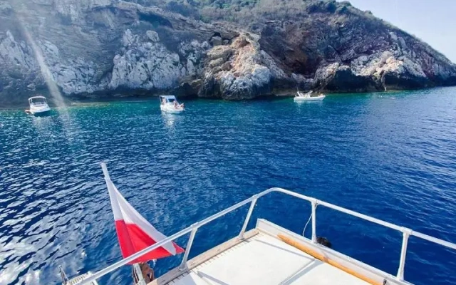 delphin 4 odysea it
