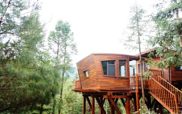 ZYJ Treehouse Land Huangshan Qiyun
