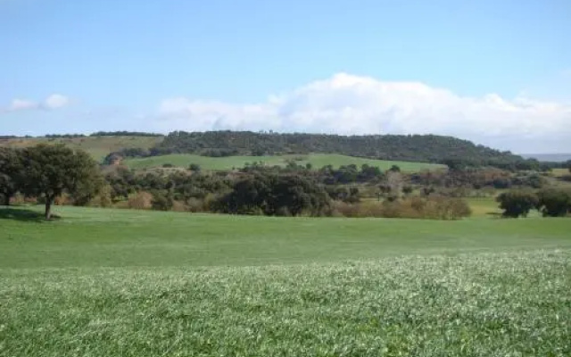 Quinta Da Mata