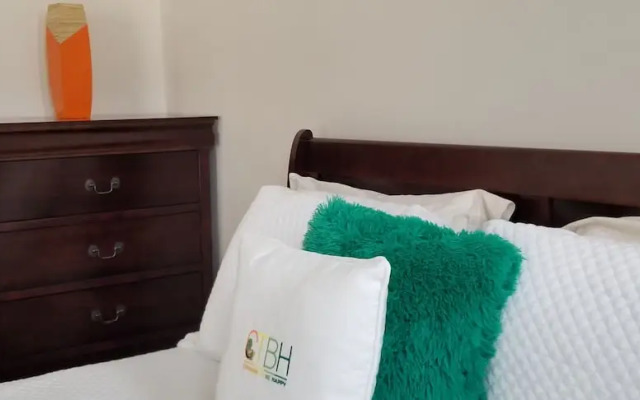 New Kingston Guest Apt at Kingsway