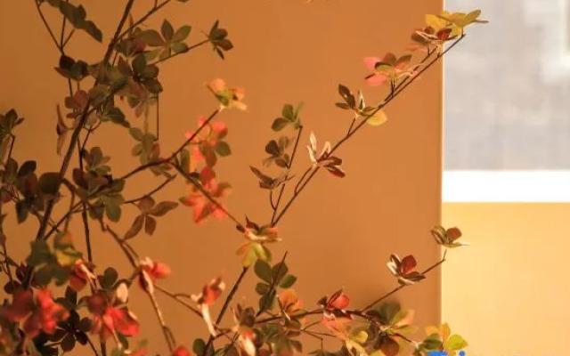 Hangzhou Xihu Youshan Courtyard Homestay (Taiziwan)
